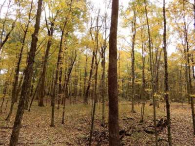 CannaVenture- Halloween Hemp Hike - Tennessee - Hidden Springs Trail - Cedars of Lebanon - Tennessee