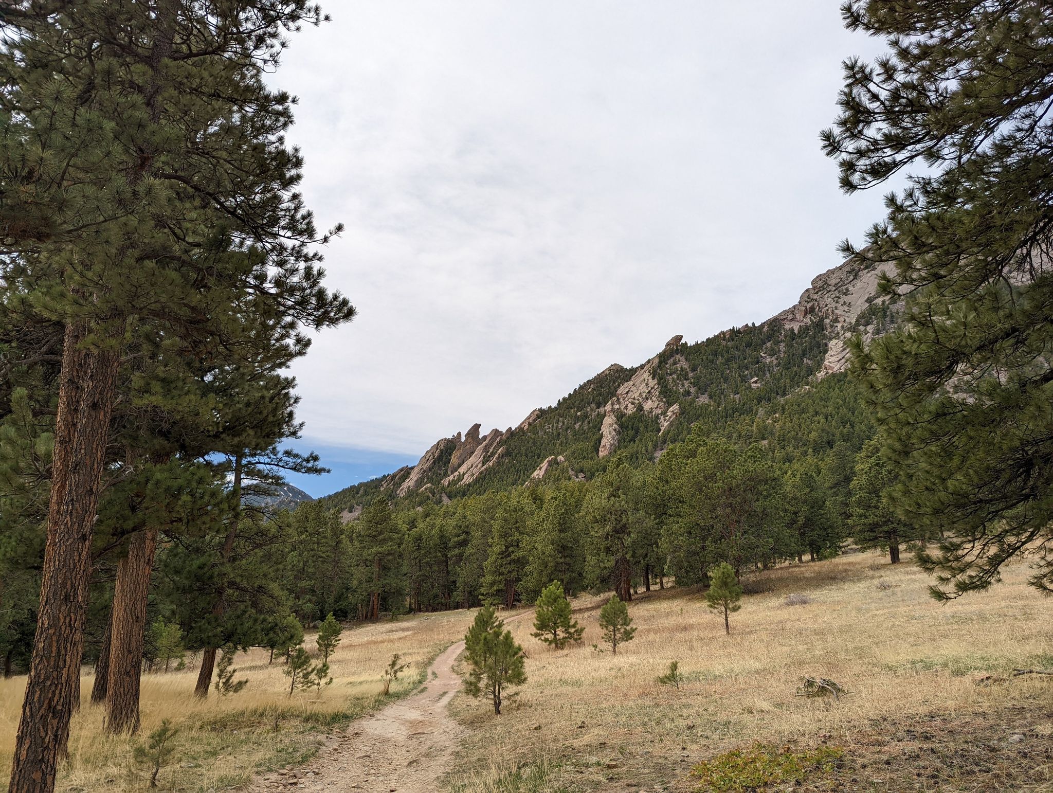 Shanahan – North Fork and Mesa Trail Loop – CO Hike – June 2022