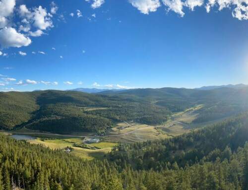 Upper Mule Deer Trail – CO Hike – May 2022